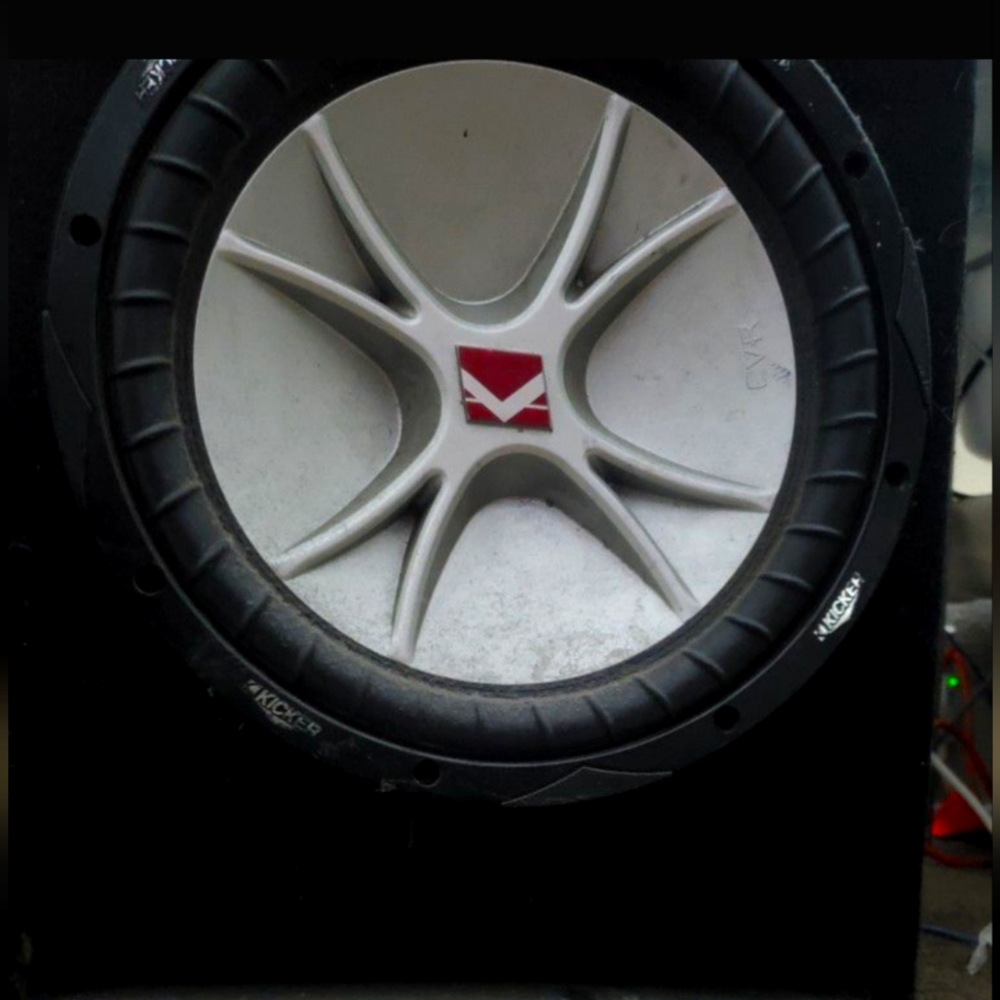 Audio Scorpio Amp and 12in Sub